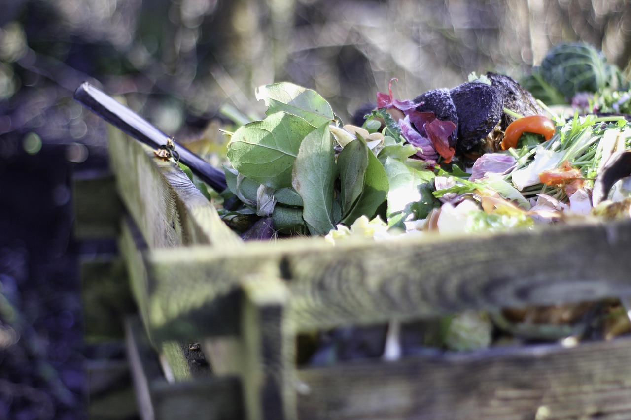 Groene afvalbakken voor compost in achtertuin.