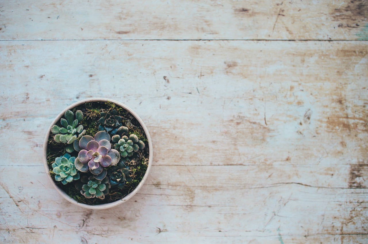 Ongerepte tuin met focus op groen en rust.