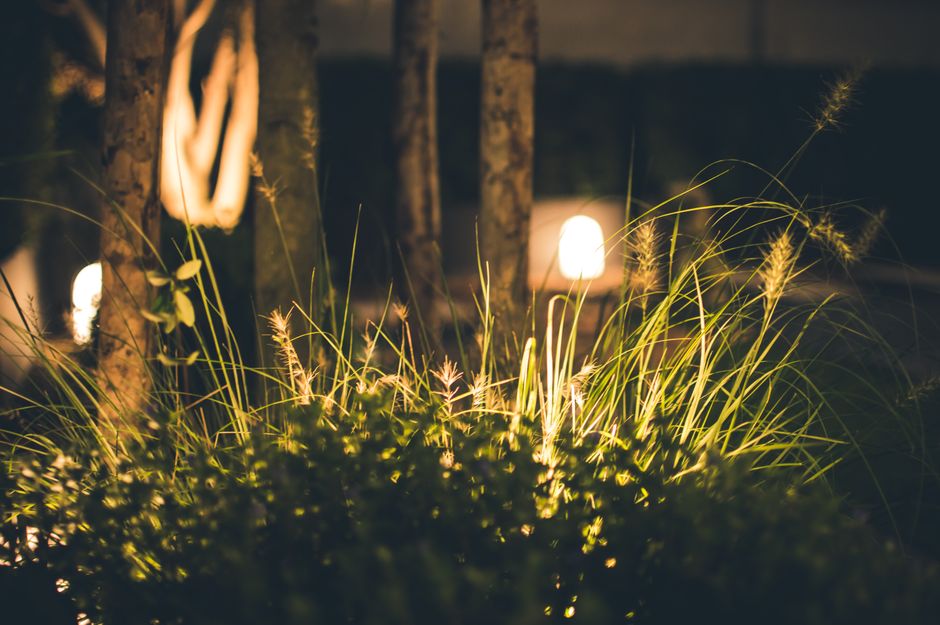 Sfeervolle maanverlichte pad door de tuin. Sfeervolle maanverlichte pad door de tuin.