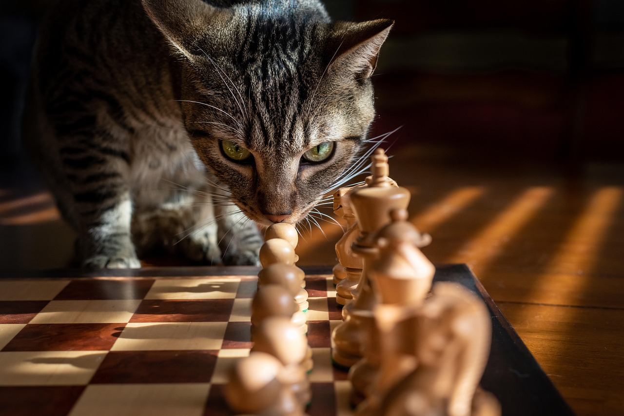 Moderne interpretatie van oude Egyptische kattenschilderijen. Moderne interpretatie van oude Egyptische kattenschilderijen.
